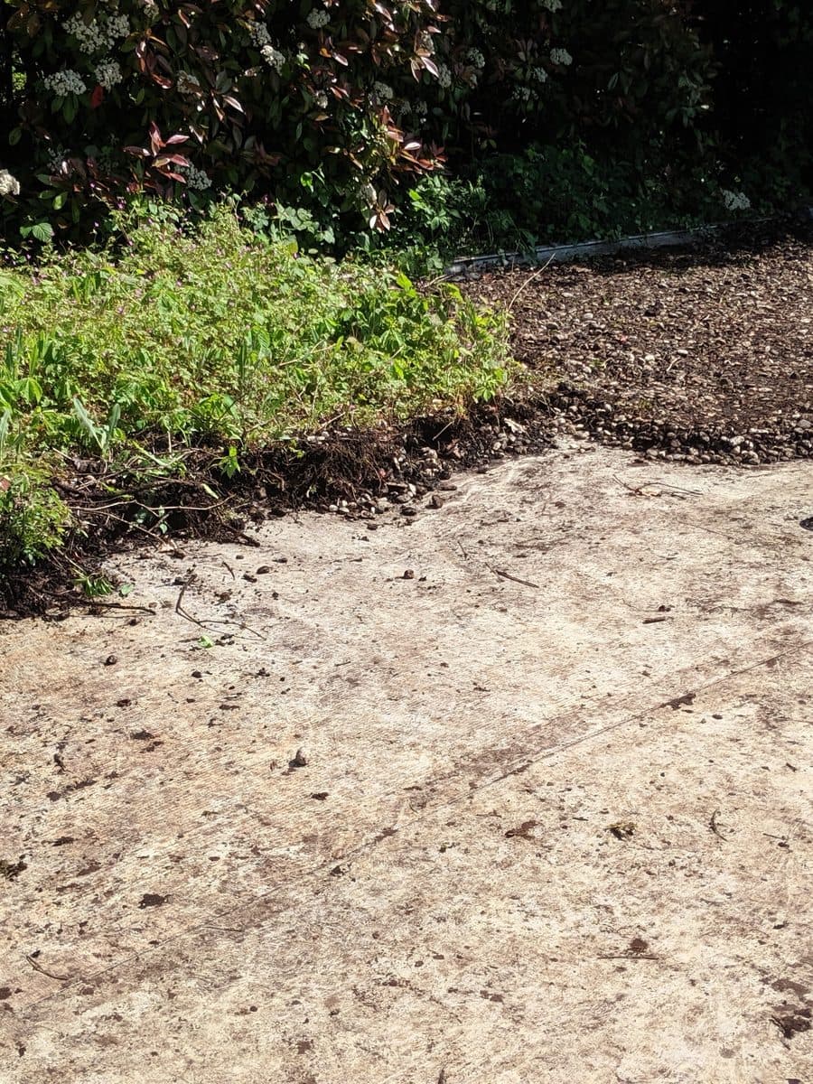 Flachdach, auf dem Bewuchs und Kies abgetragen werden